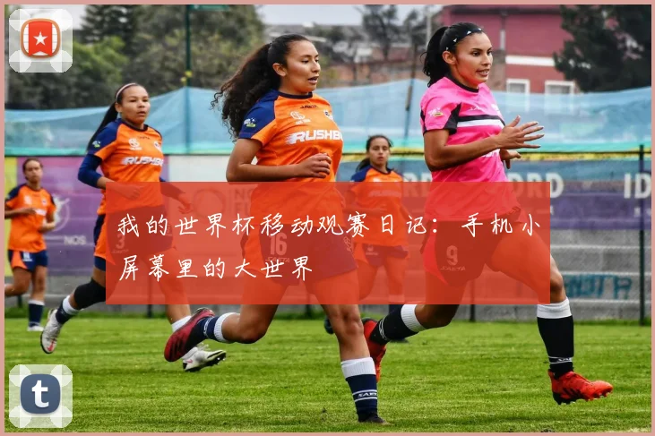 我的世界杯移动观赛日记：手机小屏幕里的大世界