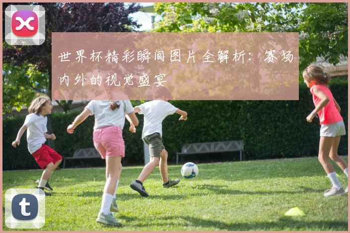 世界杯精彩瞬间图片全解析：赛场内外的视觉盛宴