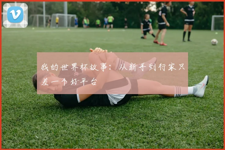 我的世界杯故事：从新手到行家只差一个好平台