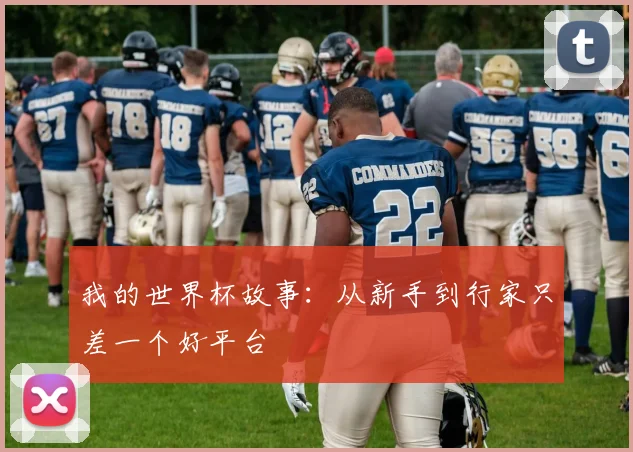 我的世界杯故事：从新手到行家只差一个好平台