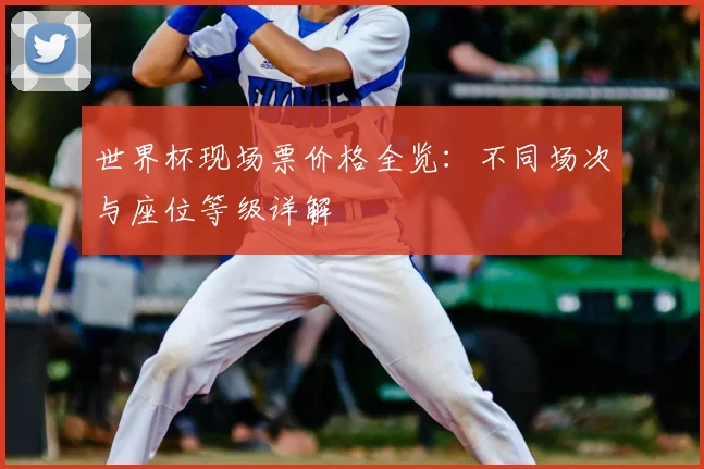 世界杯现场票价格全览：不同场次与座位等级详解