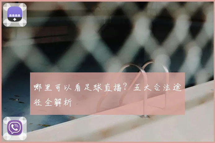 哪里可以看足球直播？五大合法途径全解析